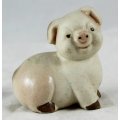Cute Pig - Ceramic - Gorgeous! - Bid Now!!!
