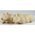 Pigs Laying Down - Joined Pigs - Gorgeous! - Bid Now!!!