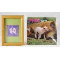Framed Pig Picture and Small 1998 Pig Calendar - Gorgeous! - Bid Now!!!