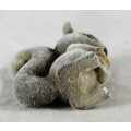 Miniature Suede Baby Squirrel - Gorgeous! - Bid Now!!!