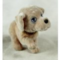 Miniature Suede Puppy - Gorgeous! - Bid Now!!!