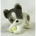 Miniature Suede Puppy Playing - Gorgeous! - Bid Now!!!