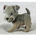 Suede Smiling Puppy - Gorgeous! - Bid Now!!!