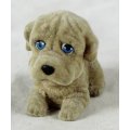 Suede Puppy - Frowning - Gorgeous! - Bid Now!!!