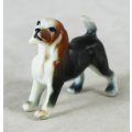 Miniature Dog - Gorgeous! - Bid Now!!!