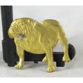 Brass - Bulldog Pin - Gorgeous! - Bid Now!!!