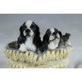 Cocker Spaniel Puppies in a Basket - BID NOW!!!