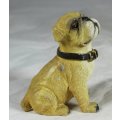 Bulldog Puppy Seated - BID NOW!!!