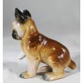 Porcelain Puppy with bandaged foot - Bid Now!!