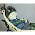 Frog relaxing in a hammock - Gorgeous! - Bid Now!!!