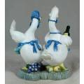 WHAT A BEAUTIFUL PAIR OF JOLLY DUCS HAVING A BLAST-BID NOW!!