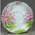 ELEGANT ROYAL ALBERT BLOSSOM TIME SAUCER-BID NOW!