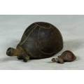 MINIATURE-MOMMY TORTOISE WITH HER BABY-BID NOW!