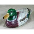 Colorful Wood Duck - Act fast and bid now!!!
