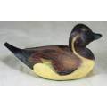 Feathered Friends - Limited Edition Duck - Pintail - Act fast and bid now!!!