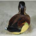 Feathered Friends - Limited Edition Duck - Pintail - Act fast and bid now!!!