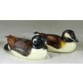 Feathered Friends - Duck Pair - Act fast and bid now!!!