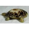 Miniature Brass Tortoise - Low Price!! Bid Now!!