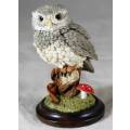 Country Artist ( Hand Made) Little Owl - Beautiful! - Bid Now!!!