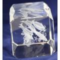 Laser Etched Cube - Dolphin - Beautiful!!! BID NOW!!!!