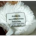 Piece of Scolecite - Appophilite & Stilbite with Shell - Act fast and bid now!!!