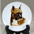 Small Display Plate with Boxer - Low Price!! Bid Now!!