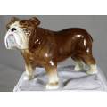Porcelain English Bulldog - Sylvac - Beautiful!!! BID NOW!!!!