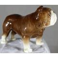Porcelain English Bulldog - Sylvac - Beautiful!!! BID NOW!!!!