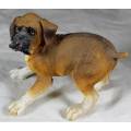 Molded Boxer Puppy - Beautiful!!! BID NOW!!!!
