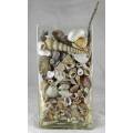 Vase with Shells - Act Fast!!! - Bid Now!!!