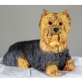 Dogs & Pups Galore - A3043 - Yorkshire Terrier Laying Down - Bid Now!!!