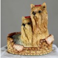 Yorkshire Terriers With Bows In Basket- Bid Now!!!