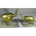 Pair of Elephants - Bid Now!!!