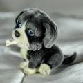 Puppy - In My Pocket Families - Bernie the Bernese Mountain Dog - Bid Now!!!