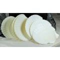 Set of 8 Sea Shells for Serving - Act Fast - Bid Now!!!