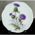 Display Plate - Luckenbooth Bone China - Made in Scotland - Bid Now!