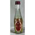 Mini Liquor Bottle - Camus Cognac (30ml) - BID NOW!!!
