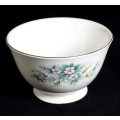 Queen Anne - Vintage Bone China - Sugar Bowl - BID NOW!!!