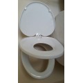 Dual family toilet seat ideal for potty training