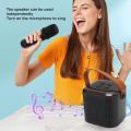 Bluetooth Karaoke Machine HiFi Stereo Retro Portable Speaker 2 Microphone