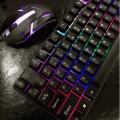 Mechanical RGB Backlit Ergonomic Gaming Mouse and Keyboard Set