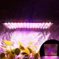 Hello Today LED Plant Growing Light-600W