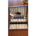 BOXED SET OF 6 SHELL-SHAPED DESSERT SPOONS WITH SERVING SPOON