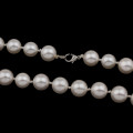 White South Sea Shell Pearl Necklace, 18inch length and pearls are 6mm.