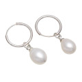 KAVANAGHS 11000 positive ratings - Lovely 10mm PINK/WHITE Genuine Pearl Earrings