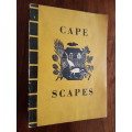 Cape Scapes - By Rupert Shephard