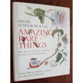 Amazing Rare Things - The Art of Natural History in the Age of Discovery - David Attenborough