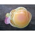 Beswick Ware Snack Plate In Pastel Colors 12 cm diameter
