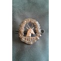 South African First Reserve Brigade Springbok Bronze Collar Badge