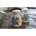Vintage Mid Century Modern Handpainted Porcelain Salt And Pepper Shakers